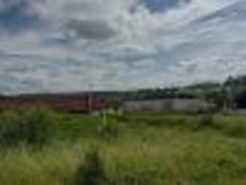 Chácara, 5 hectares - Foto 3