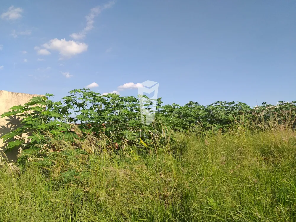 Terreno, 250 m² - Foto 3
