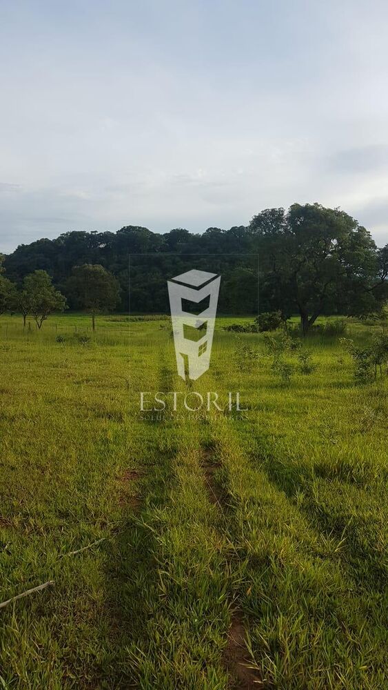 Terreno, 1 hectares - Foto 3