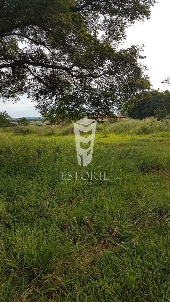 Terreno, 1 hectares - Foto 8