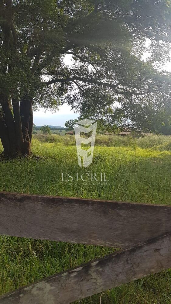 Terreno, 1 hectares - Foto 5