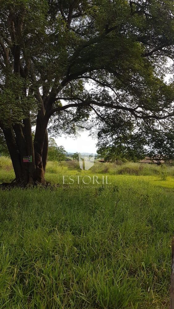 Terreno, 1 hectares - Foto 1