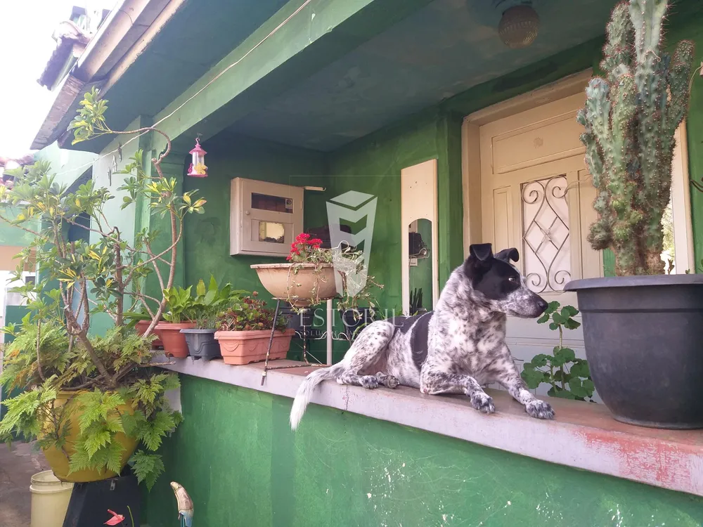 Casa, 3 quartos, 440 m² - Foto 10