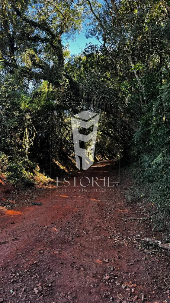 Sítio, 1 quarto, 24000 m² - Foto 14