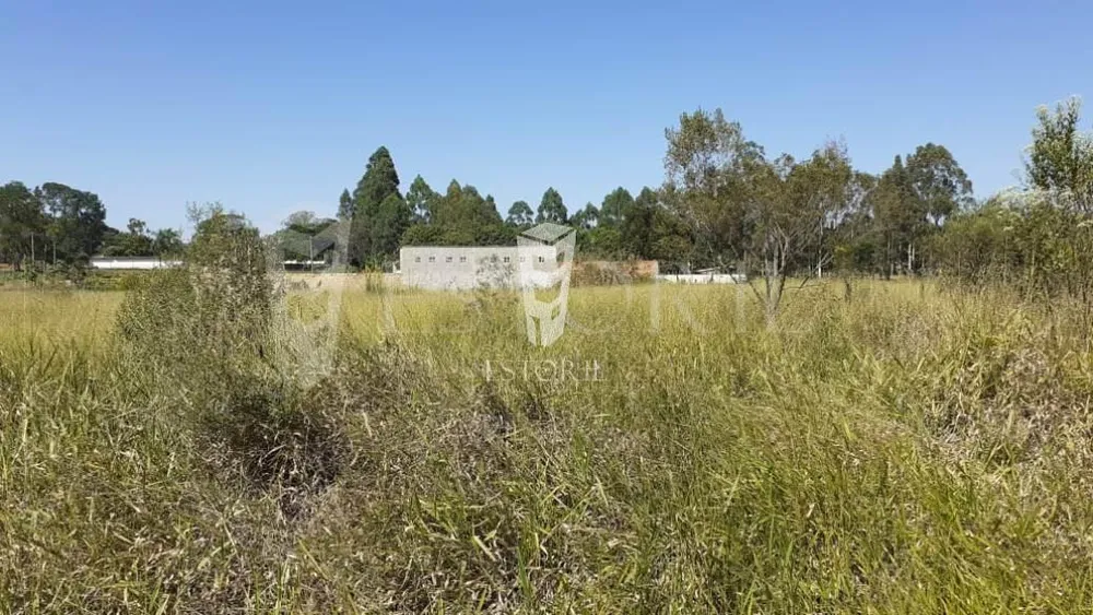 Terreno, 1250 m² - Foto 4