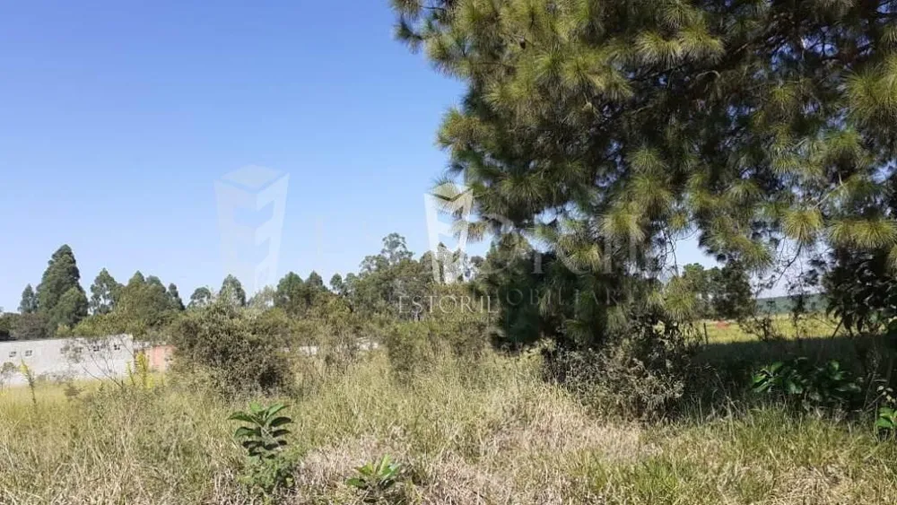 Terreno, 1250 m² - Foto 8