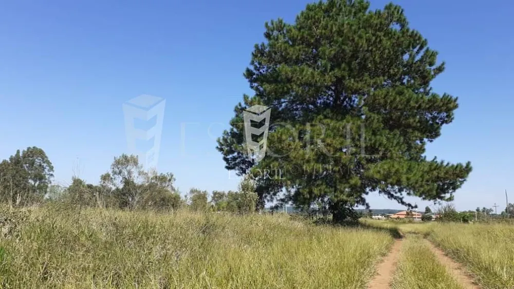 Terreno, 1250 m² - Foto 1