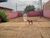 Casa, 1 quarto, 200 m² - Foto 2