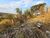 Terreno, 360 m² - Foto 15