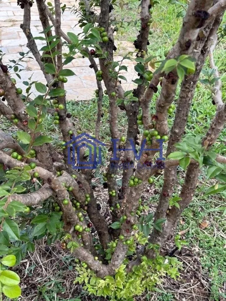 Casa, 2 quartos, 1000 m² - Foto 12