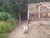 Terreno, 222 m² - Foto 4