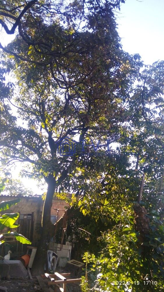 Terreno à venda, 360 - Foto 4