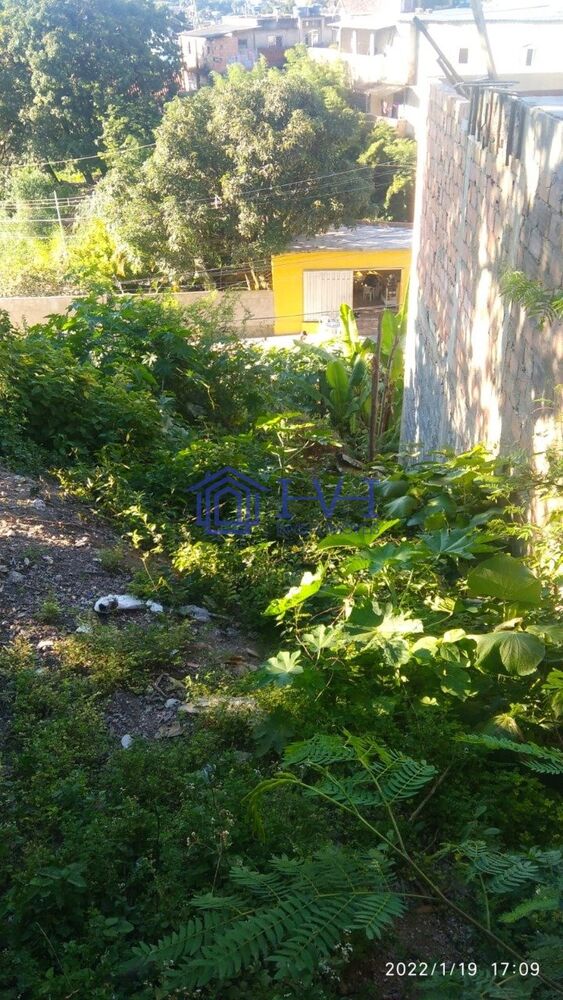 Terreno à venda, 360 - Foto 10