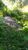 Terreno, 360 m² - Foto 11