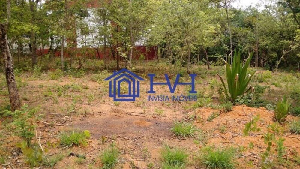 Terreno, 250 m² - Foto 2