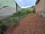 Terreno, 200 m² - Foto 10