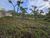 Terreno, 920 m² - Foto 6