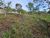 Terreno, 920 m² - Foto 4