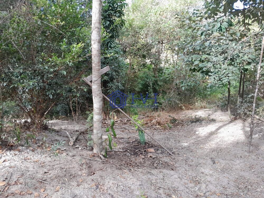 Chácara, 2 quartos, 1200 m² - Foto 3