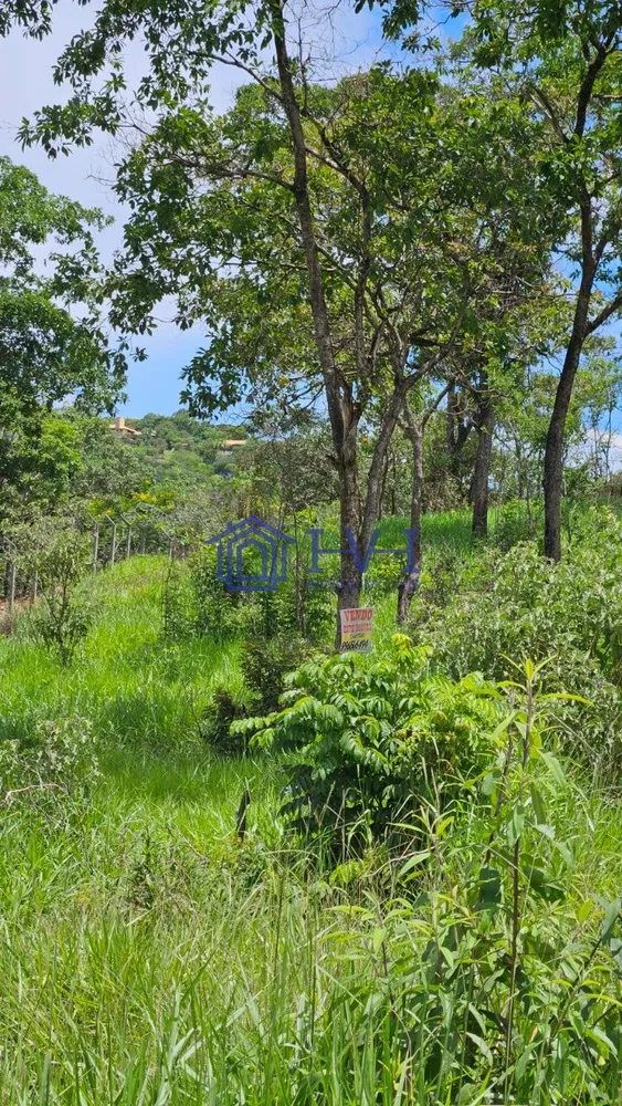 Terreno, 525 m² - Foto 16