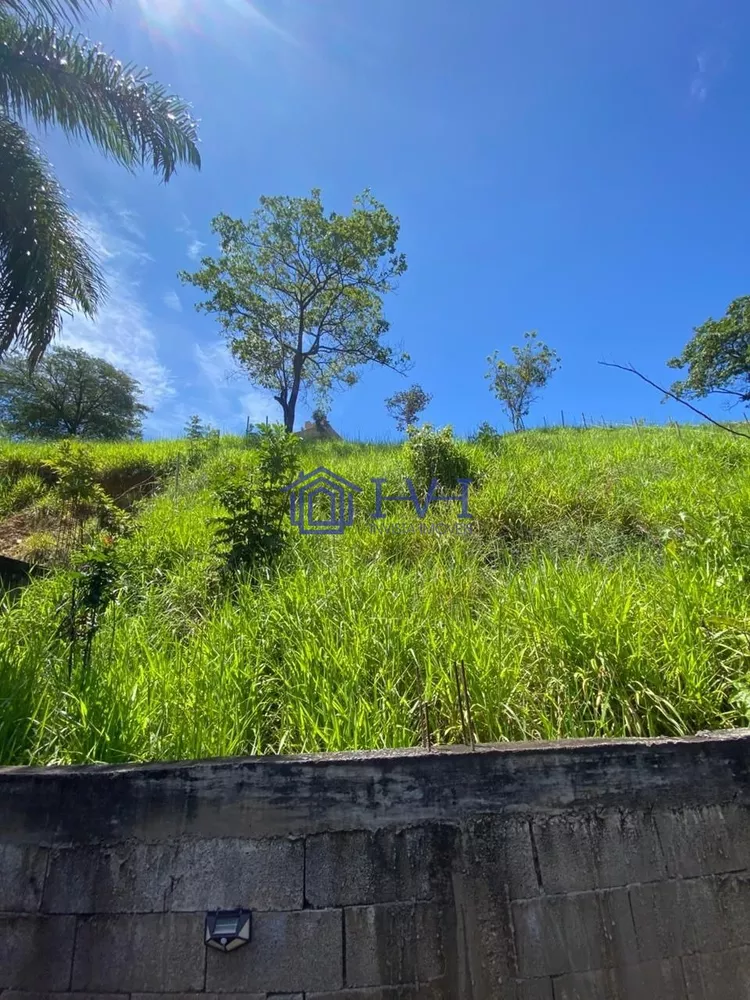 Casa, 5 quartos, 450 m² - Foto 18