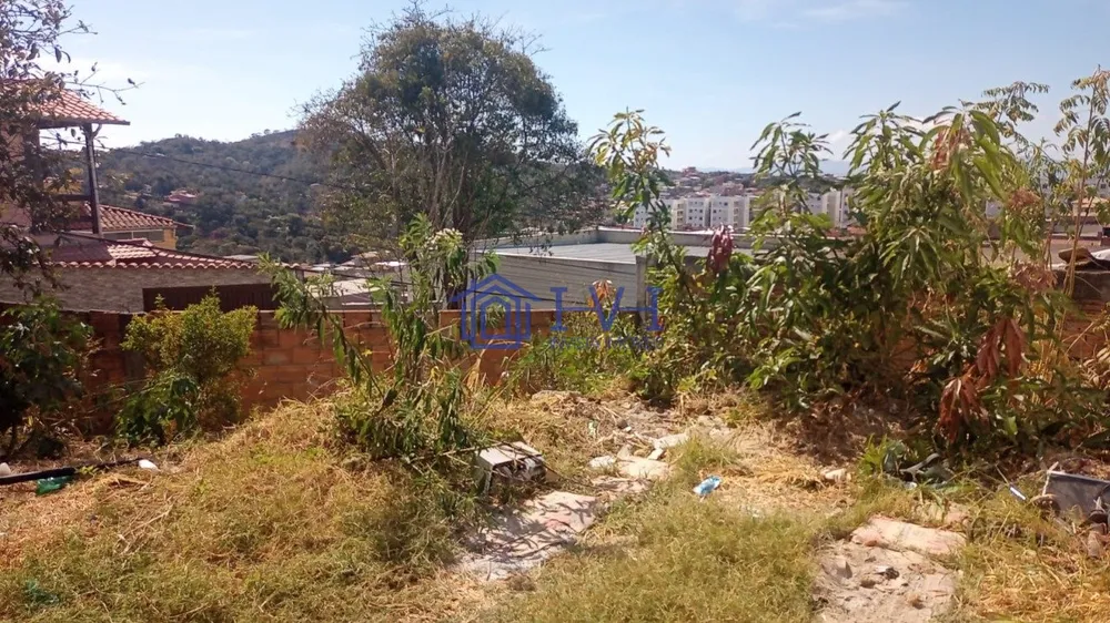 Casa, 3 quartos, 568 m² - Foto 5