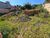Terreno, 560 m² - Foto 4