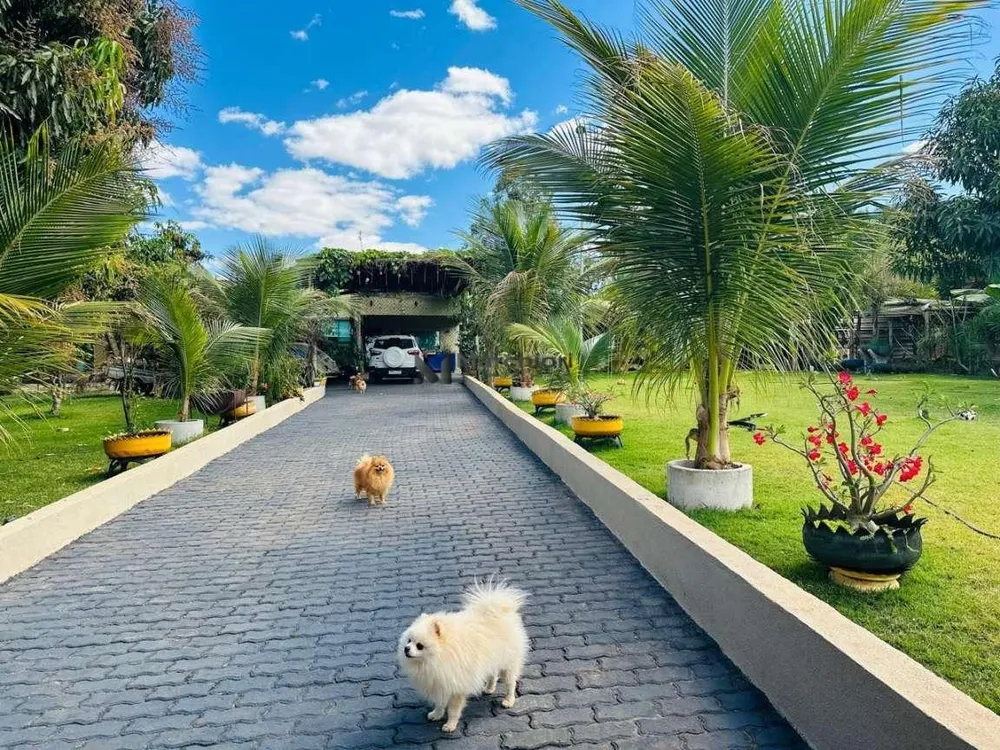 Chácara, 4 quartos, 1500 m² - Foto 6