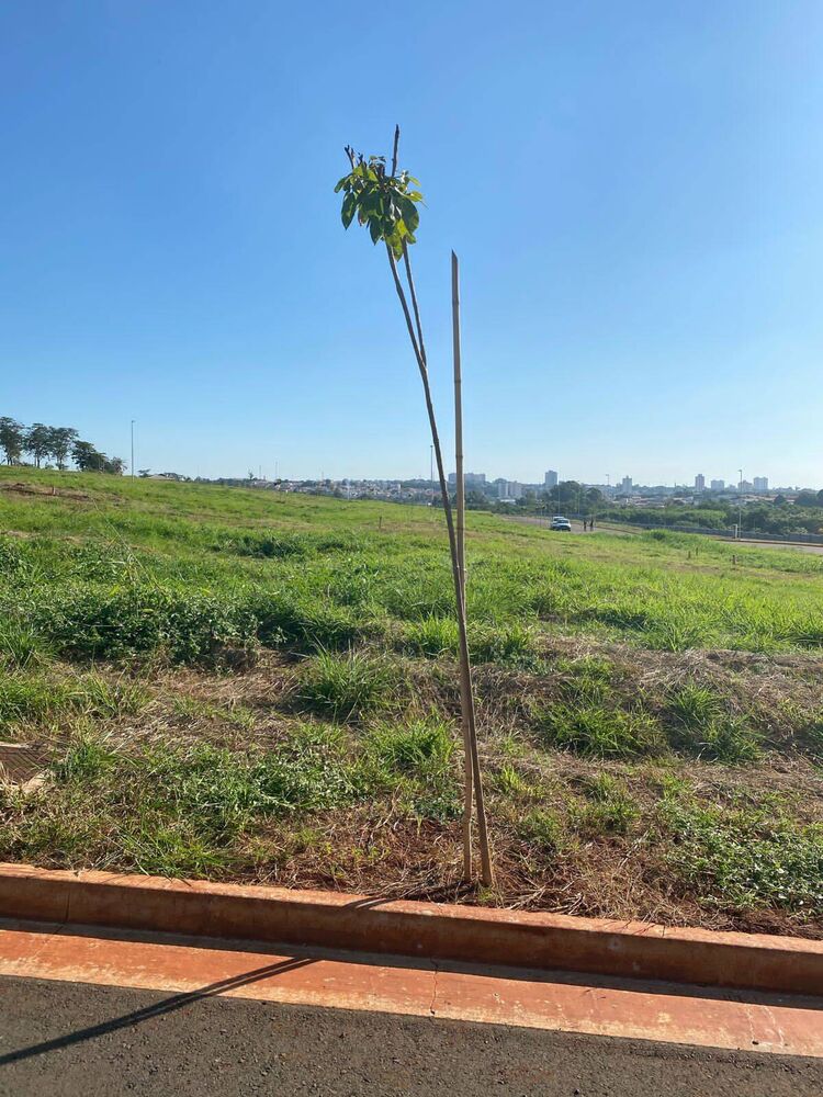 Terreno, 490 m² - Foto 4