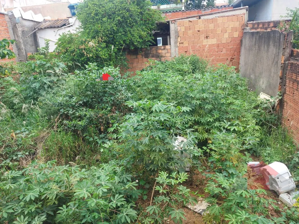 Casa, 5 quartos, 250 m² - Foto 4