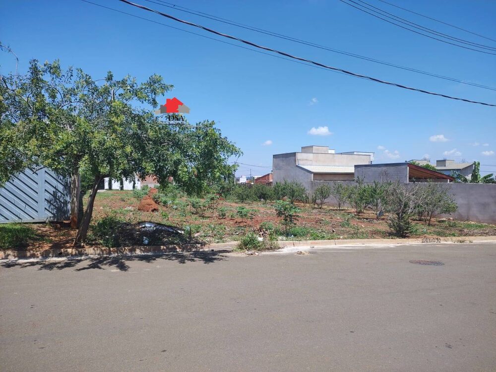 Terreno, 250 m² - Foto 3