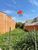 Terreno, 125 m² - Foto 3