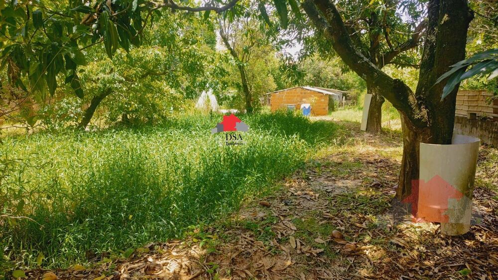 Terreno, 3995 m² - Foto 3