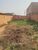 Terreno, 160 m² - Foto 6