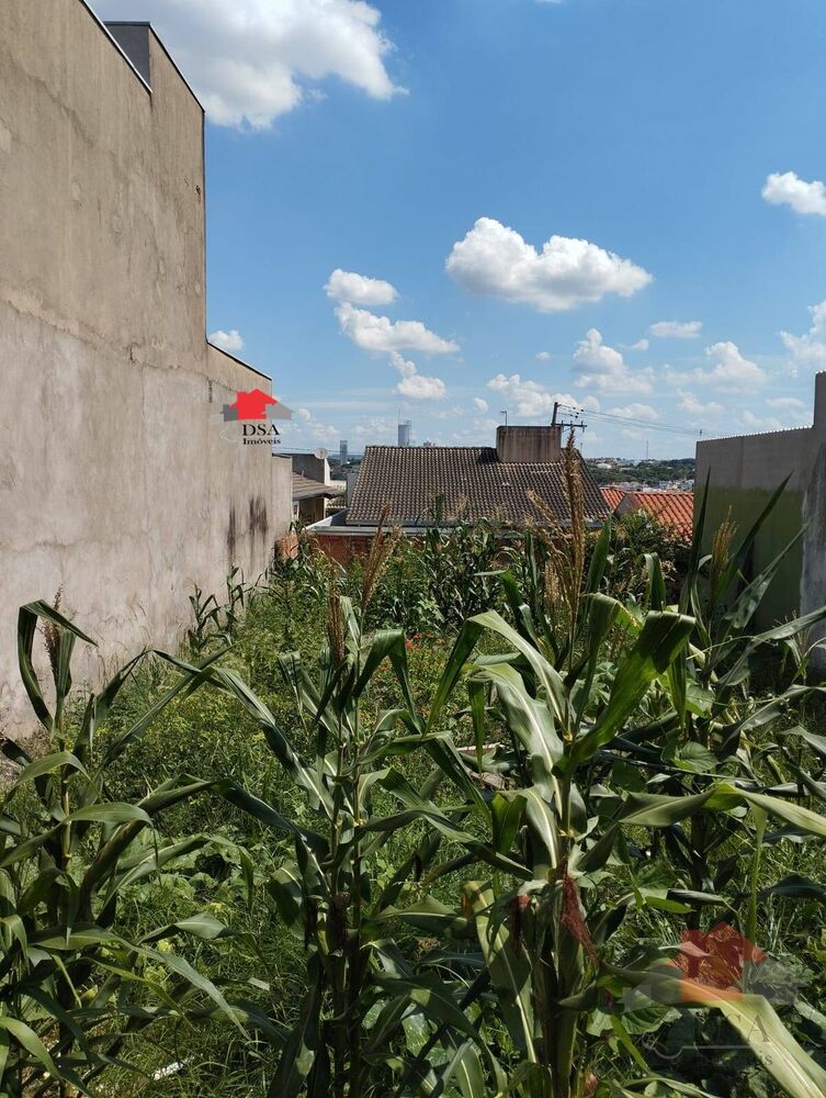 Terreno, 250 m² - Foto 4