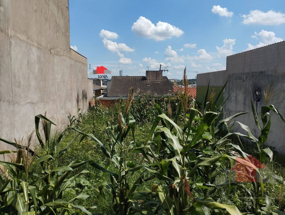 Terreno, 250 m² - Foto 5