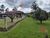Sítio, 3 quartos, 3 hectares - Foto 3