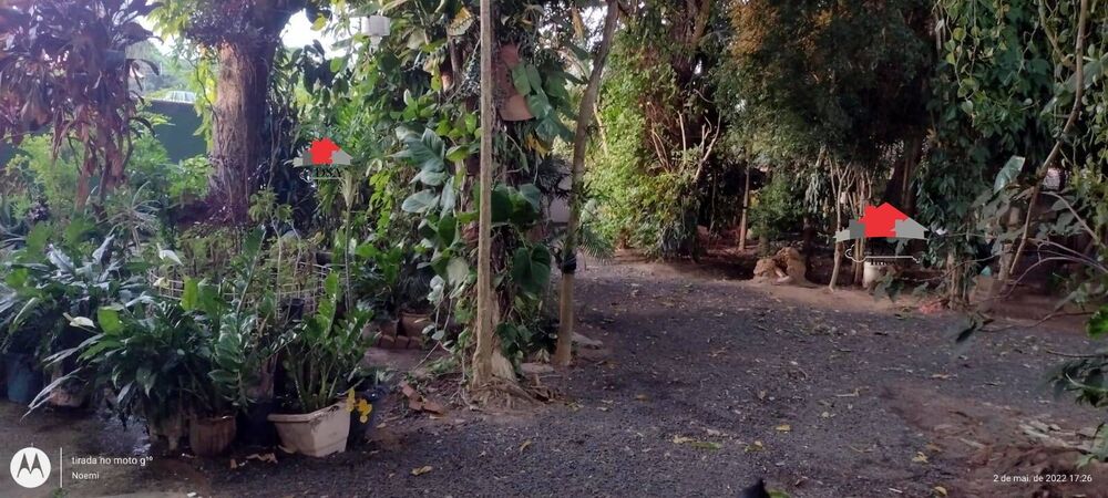 Chácara, 3 quartos, 1000 m² - Foto 11