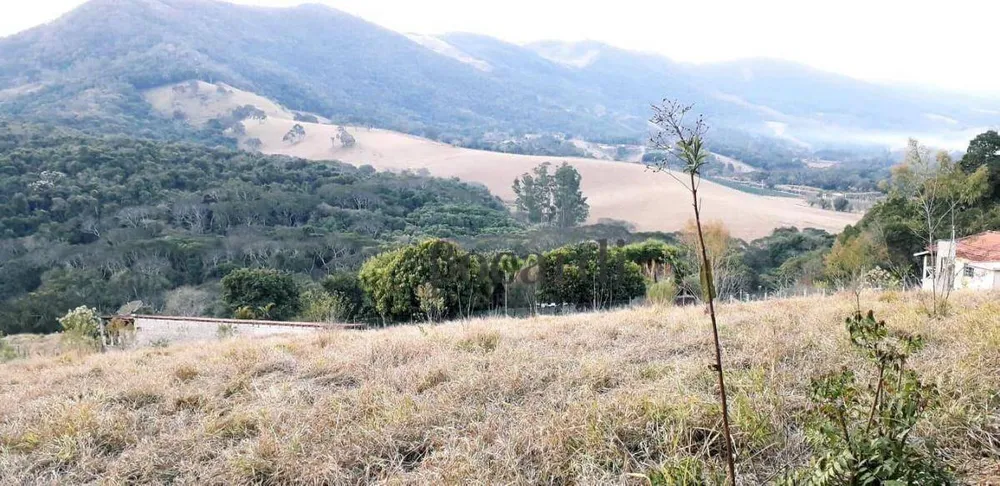 Chácara, 4000 m² - Foto 3