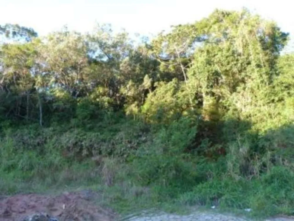 Terreno, 11610 m² - Foto 2