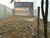 Terreno, 240 m² - Foto 1