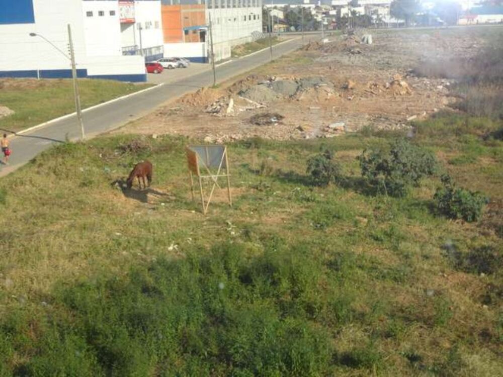 Terreno, 6278 m² - Foto 5