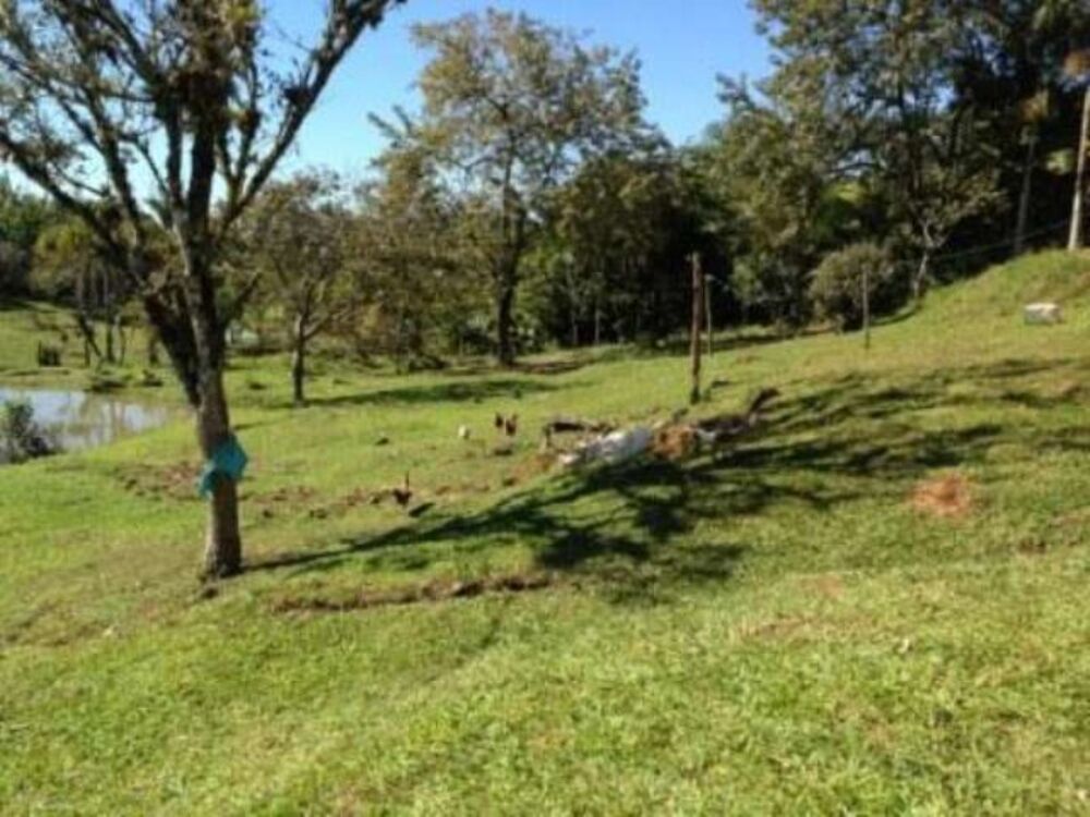 Sítio, 7000 m² - Foto 1