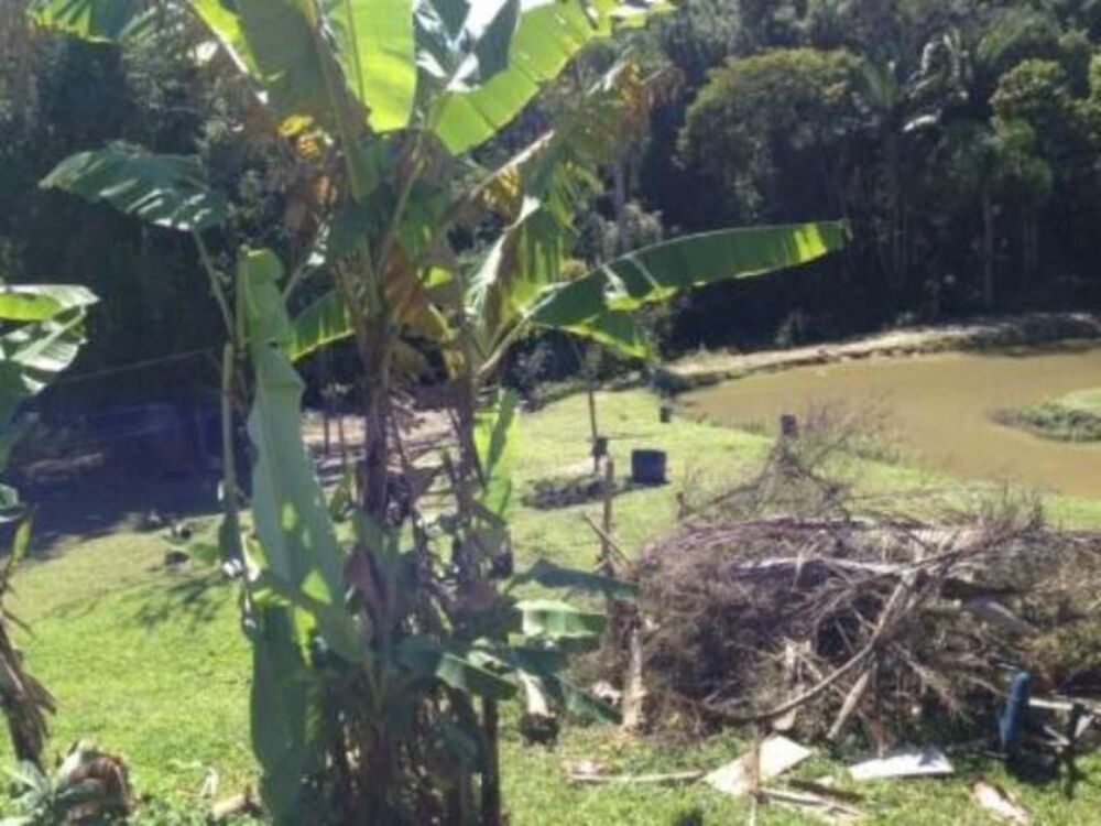 Sítio, 7000 m² - Foto 2