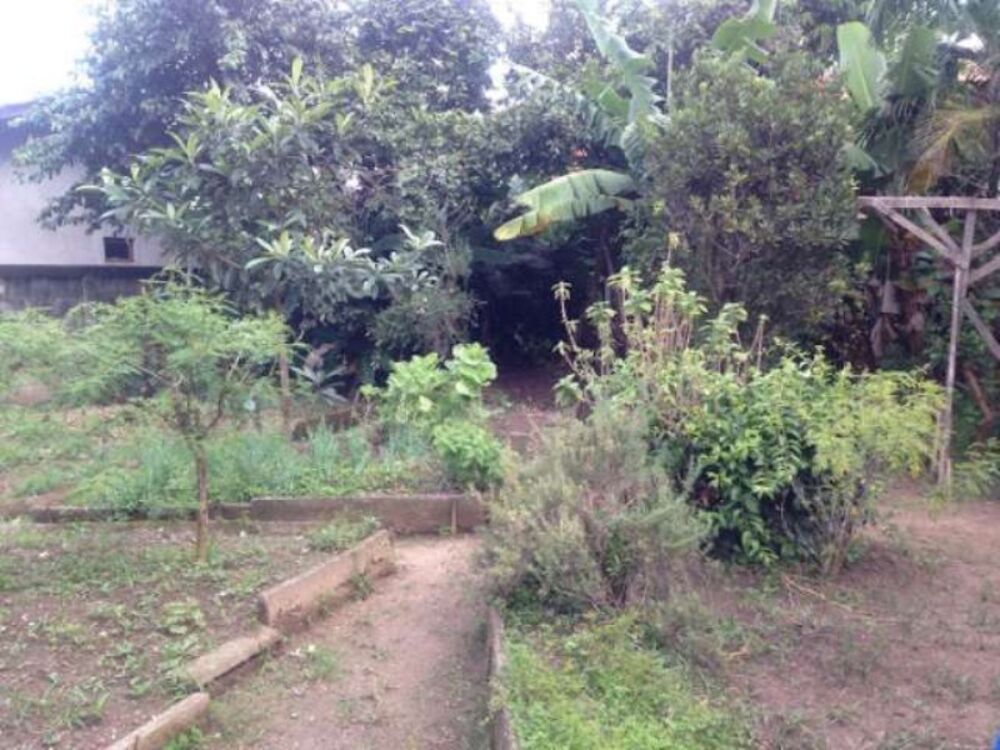 Terreno, 1200 m² - Foto 3