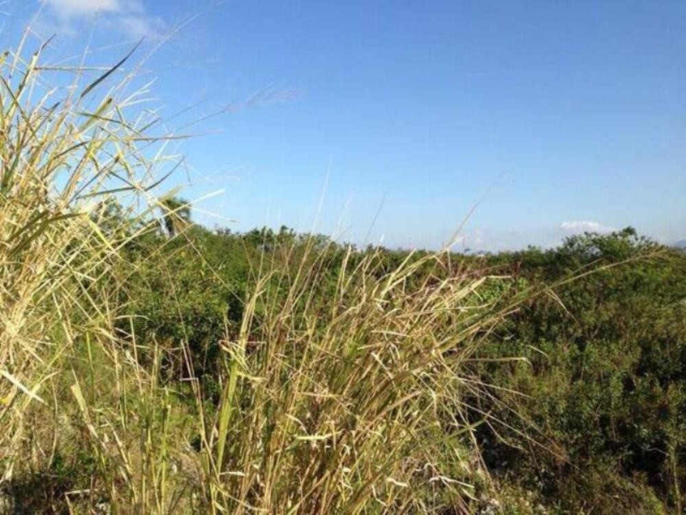 Terreno, 14800 m² - Foto 4