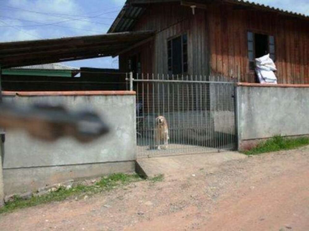 Casa, 2 quartos - Foto 2