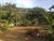 Terreno, 40000 m² - Foto 1