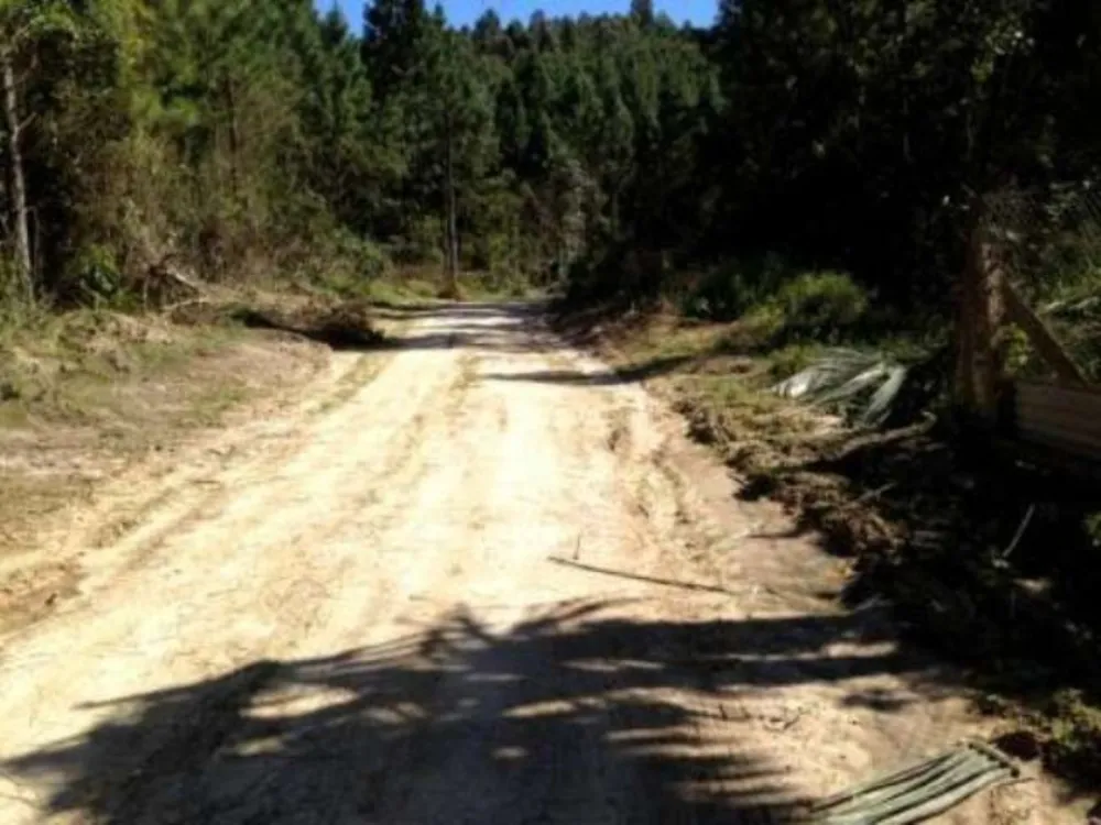 Terreno, 1500 m² - Foto 1