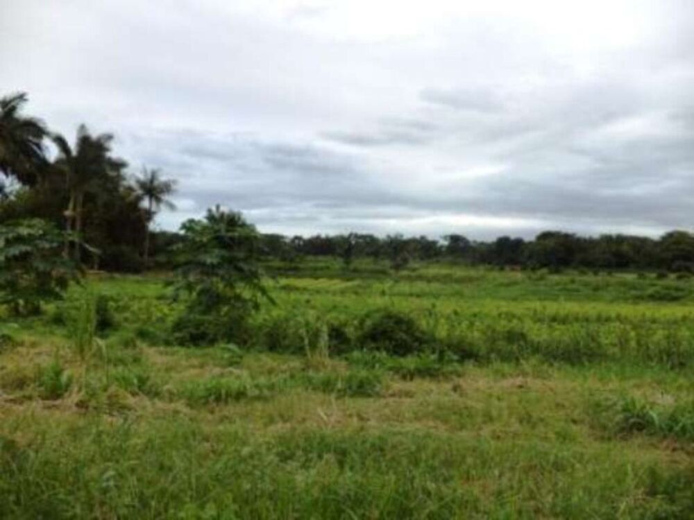 Terreno, 61370 m² - Foto 5